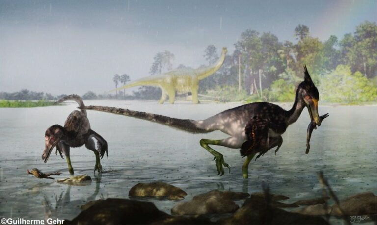 Estudo brasileiro descreve dinossauro que viveu no período Cretáceo