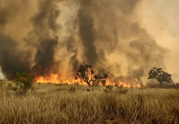 Incêndio atinge área de parque estadual na região metropolitana de SP