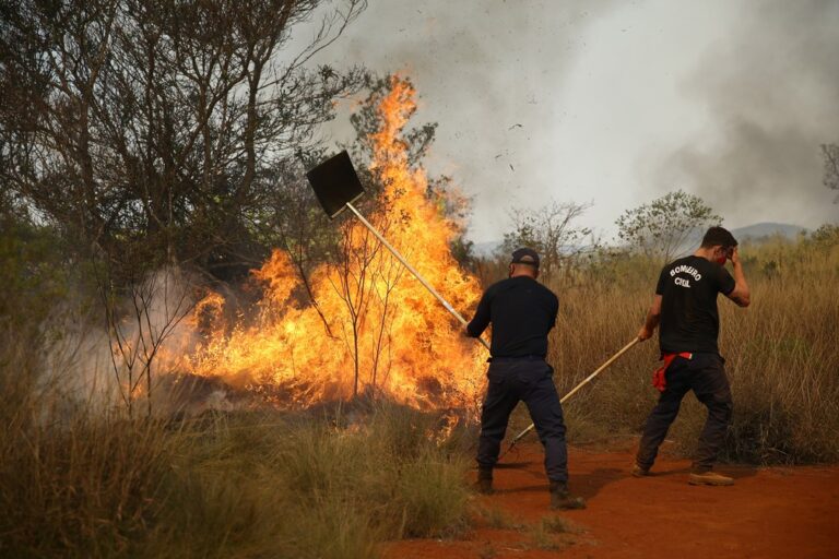 Parque do Juquery será reaberto neste sábado após incêndio