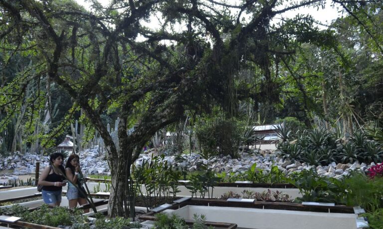 Jardim Botânico do Rio de Janeiro realiza a Semana do Bioma Pampa