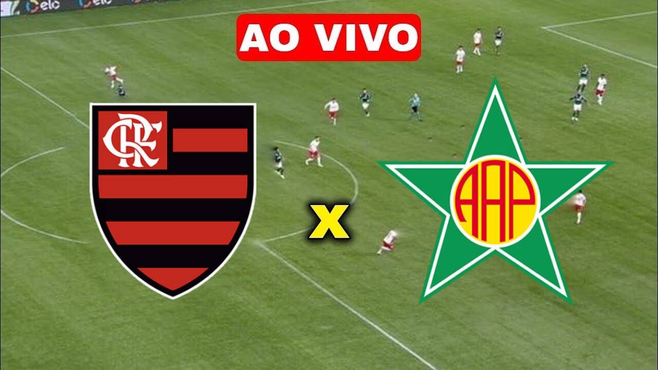 Multicanais: Assistir Flamengo x Portuguesa-RJ ao vivo online 28/10/2023 HD
