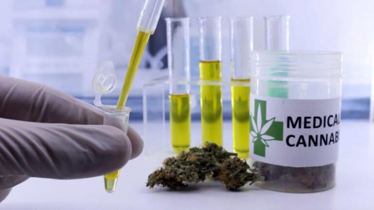 Anvisa libera o décimo produto medicinal à base de cannabis