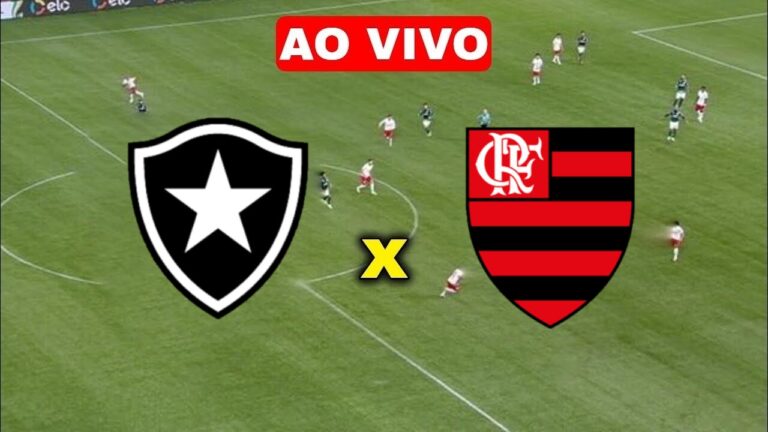 Assista AGORA Botafogo x Flamengo AO VIVO na TV e Online | Eleven Sports e OneFootball