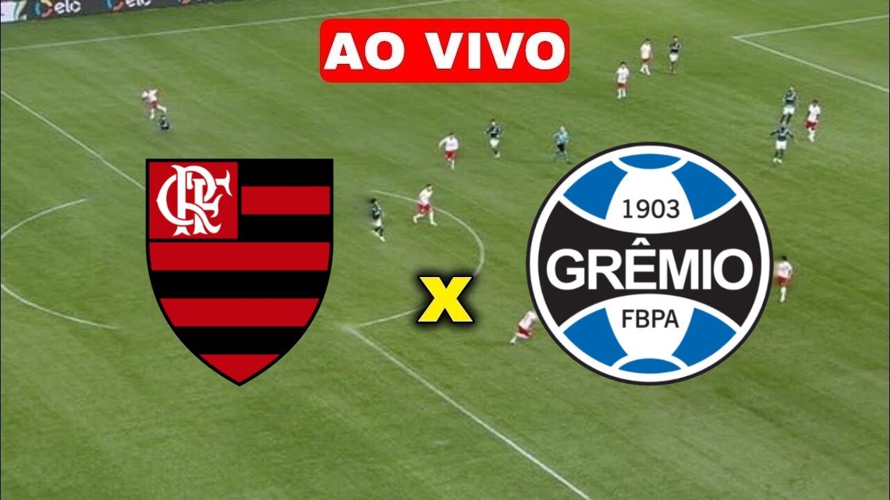 Assistir Flamengo x Grêmio ao vivo Grátis HD 19/08/2020 - !