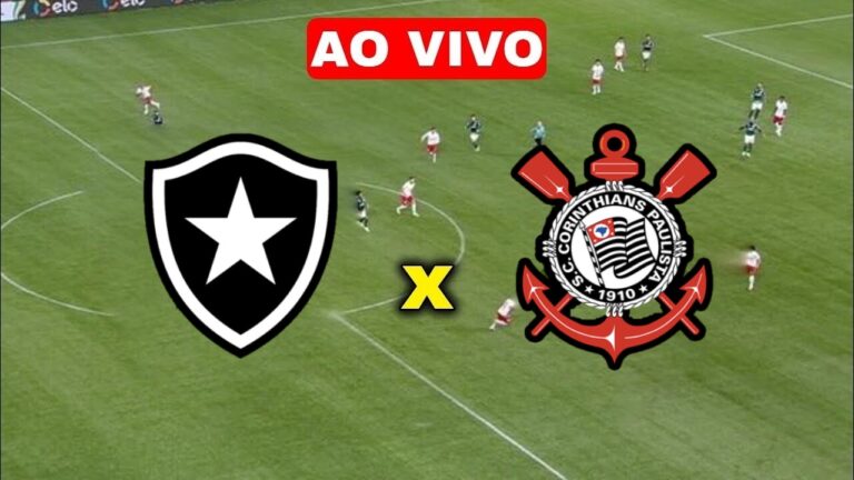 Assista AGORA Botafogo x Corinthians AO VIVO na TV e Online | Globo e Premiere