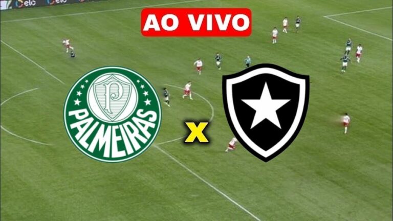 Futemax: Assistir Palmeiras x Botafogo ao vivo HD 25/06/2023 grátis