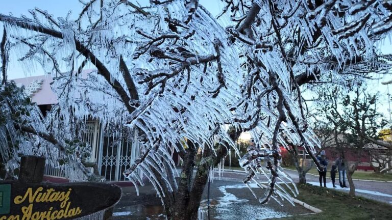 Intensa massa de ar frio mantém temperaturas baixas nesta semana; veja as previsões