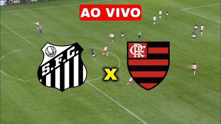 Santos x Flamengo ao vivo online grátis – Brasileirão Série A