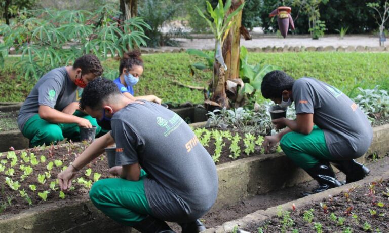 Escola Nacional do Jardim Botânico abre vagas para jovens no Rio