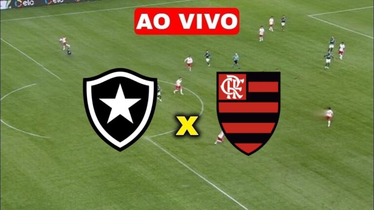 Assista ao vivo Botafogo x Flamengo no Brasileirão Série A