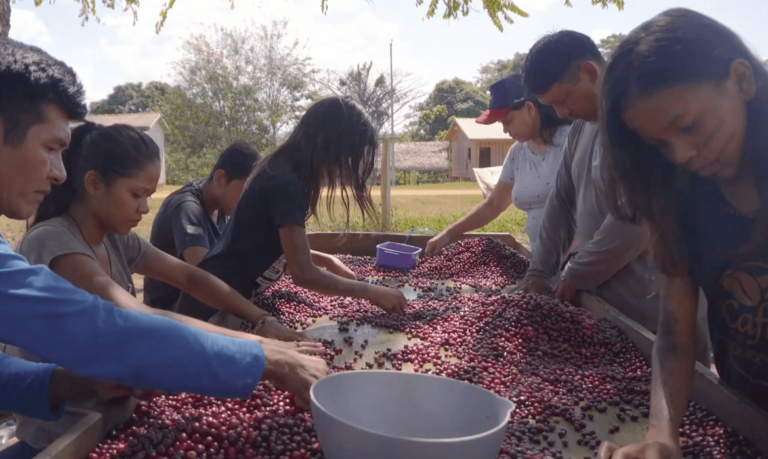 Agro Nacional mostra produção comunitária e sustentável do açaí