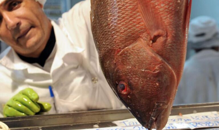 Semana do Pescado quer criar nova temporada de consumo no 2º semestre