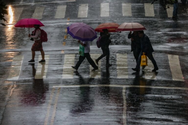 Chuva derruba árvores e deixa regiões da cidade de SP em estado de atenção para alagamentos