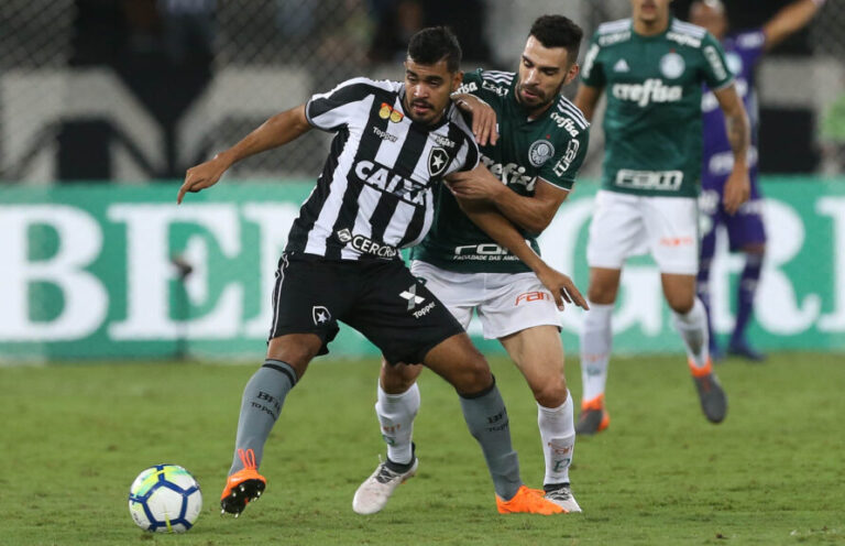 Botafogo x Palmeiras: onde assistir ao vivo o jogo do brasileirão