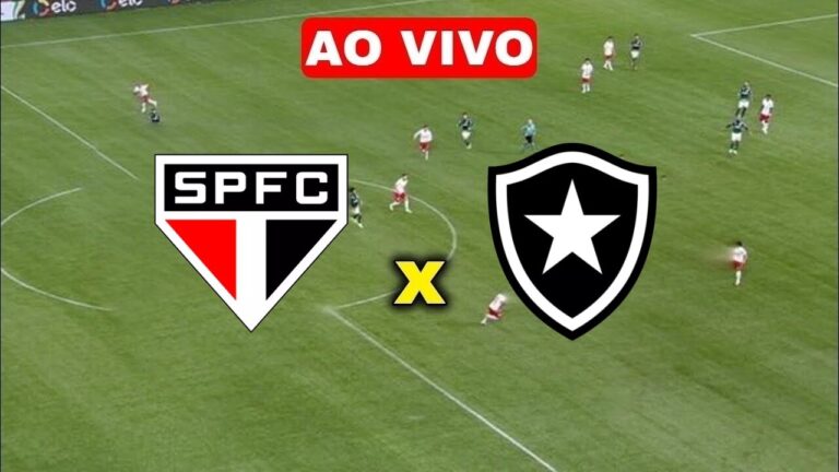 Assista ao Jogo São Paulo x Botafogo AO VIVO Online e na TV HD – Brasileirão 2024