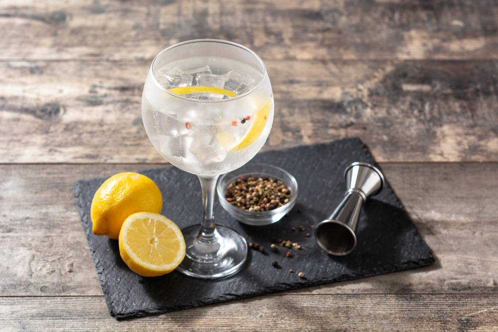 Gin tônica: Confira 7 variedades deste drink para oferecer no seu bar
