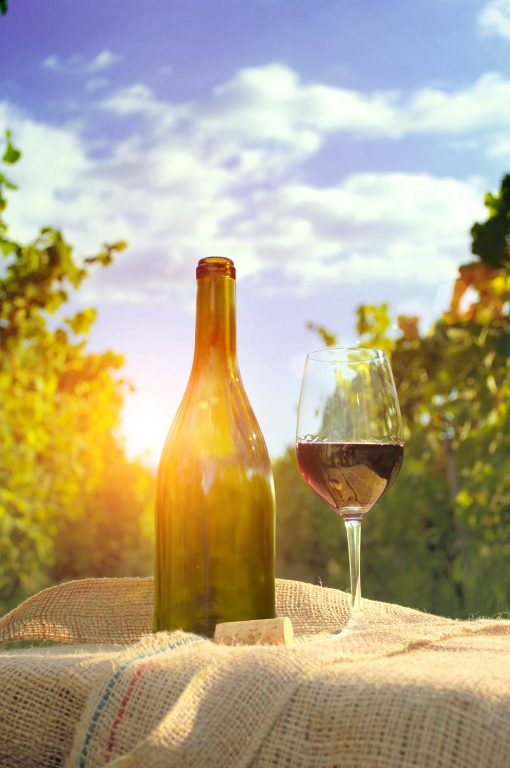 Vinhos leves são ideais para o consumo no verão