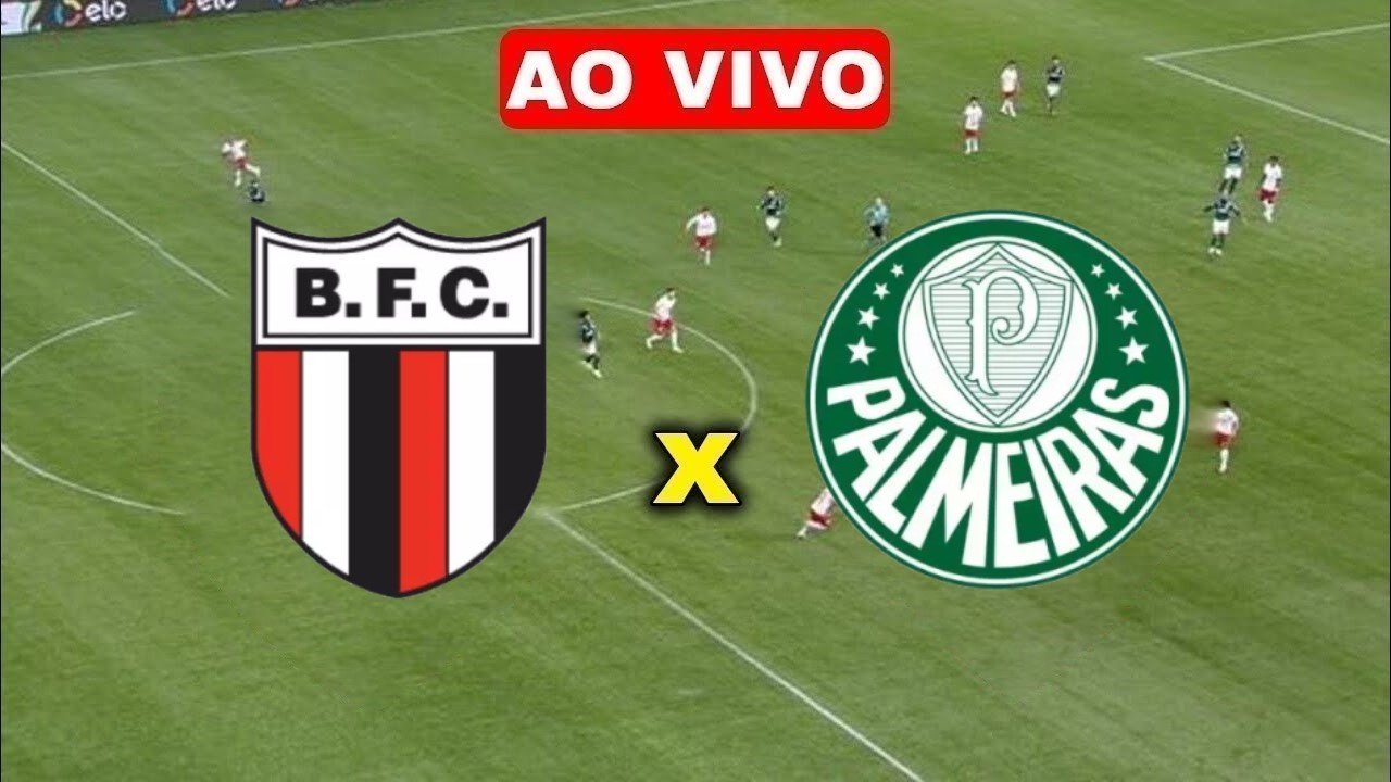 Multicanais: Assistir Botafogo-RP x Palmeiras ao vivo 02/04/2024 grátis