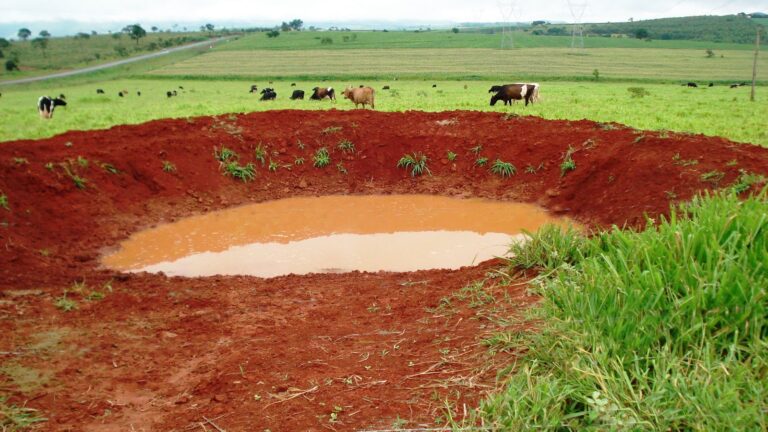 Como Construir uma Barraginha: Guia Passo a Passo para Armazenar Água da Chuva de Forma Sustentável