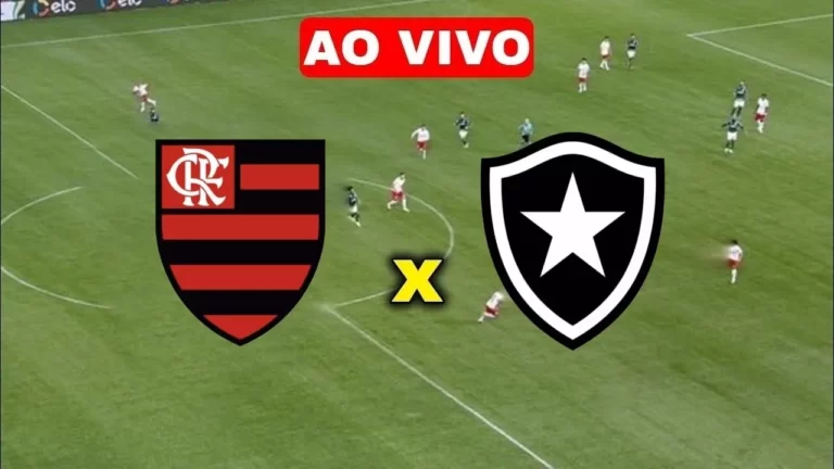 Multicanais: Flamengo x Botafogo Ao Vivo Grátis 25/02/2023 HD