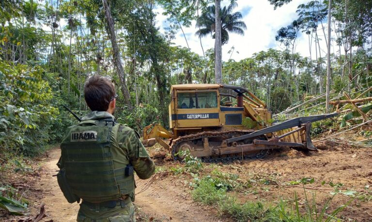 Ibama e PRF desmontaram mais de 190 acampamentos na TI Yanomami