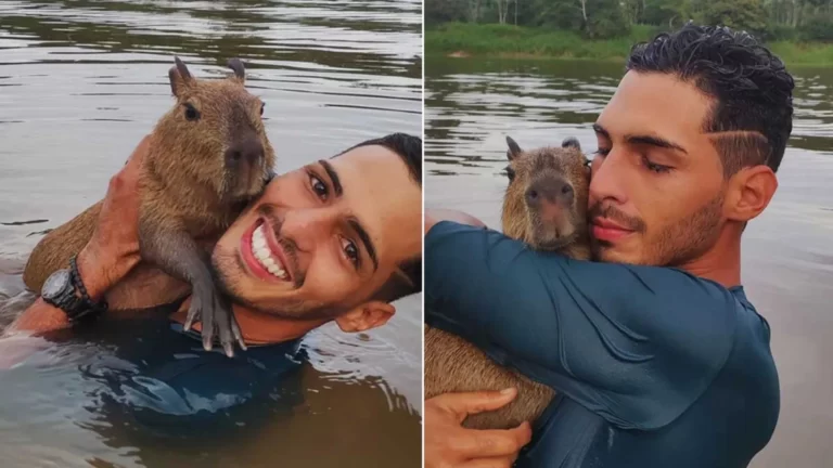 Capivara Filó foi entregue ao seu dono Agenor?