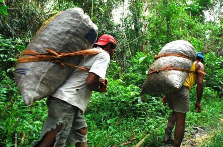 Governo do Pará inicia apuração de ameaça a conselho de extrativistas