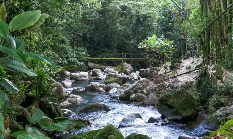 Região preservada estimula turismo consciente e pequenos produtores