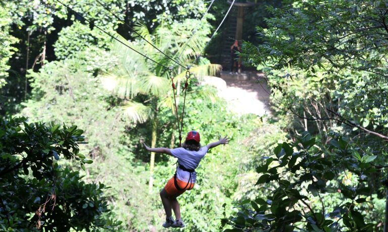 Parque da Catacumba, no Rio, é concedido à iniciativa privada