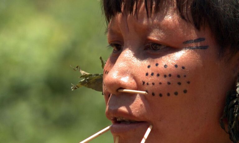 Observatório identifica 42 políticos com fazendas em terras indígenas