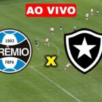 Assistir Grêmio x Botafogo AO VIVO Online e na TV HD – Brasileirão 2024