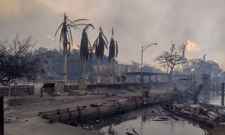 Número de mortos em incêndios florestais no Havaí chega a 80; bombeiros avançam contra chamas