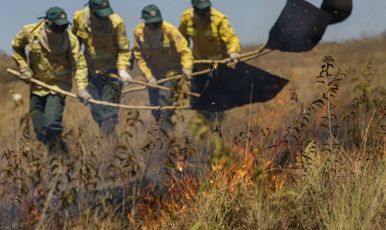 Uso consciente do fogo reduz incêndios na Chapada dos Veadeiros (GO) 