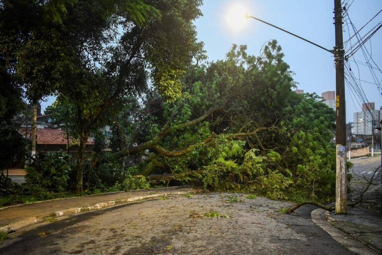 Saga do Blecaute em São Paulo: 35 Horas de Angústia e Moradores Exigem Respostas da Enel e Autoridades, com Imagens dos Estragos na Rede