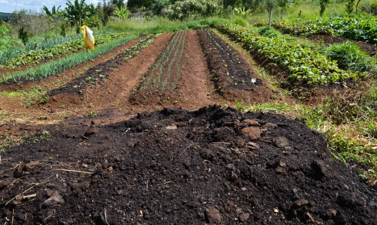 Efeitos negativos de produção de alimentos é quase 10% do PIB global