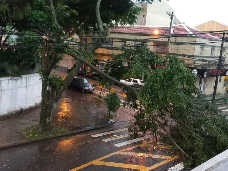 SP: 500 mil clientes continuam sem energia 3 dias após chuva, diz Enel