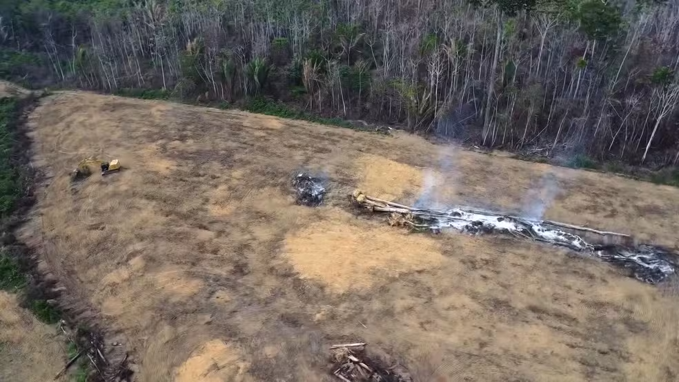 Pesquisadores Alertam para os Impactos Avassaladores dos Megaincêndios na Amazônia
