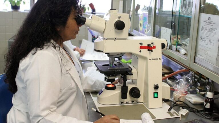 Rio cria bolsas de pesquisa para cientistas mães