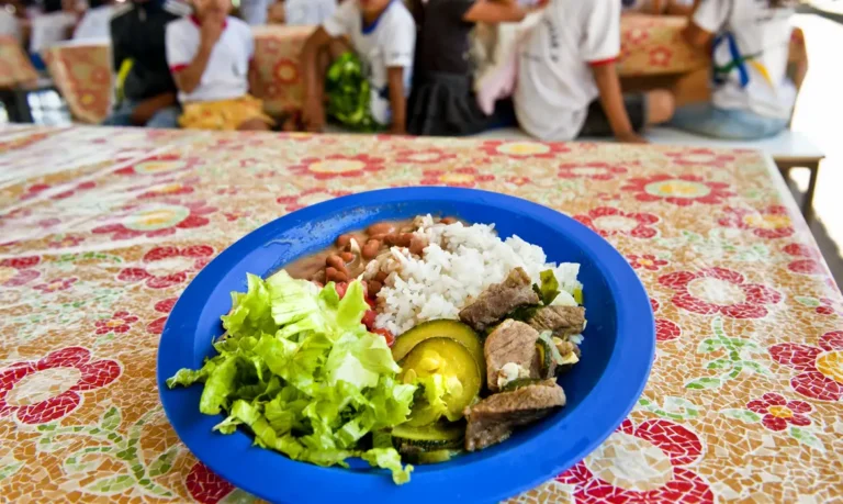 BNDES destina verba do Fundo da Amazônia para merenda escolar