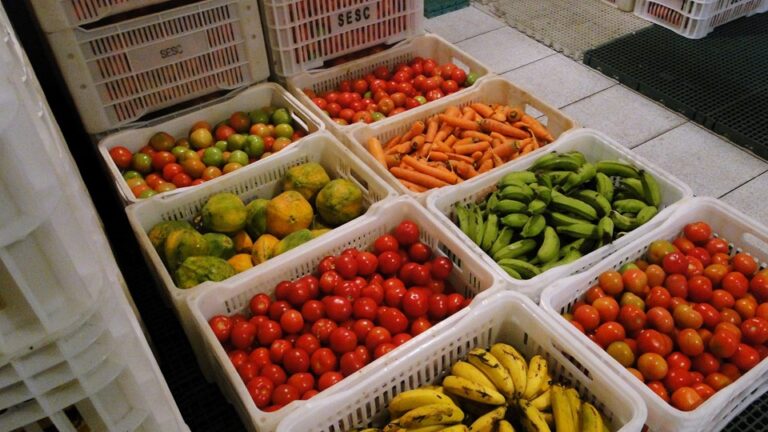 Brasil envia 125 toneladas de alimentos para Cuba