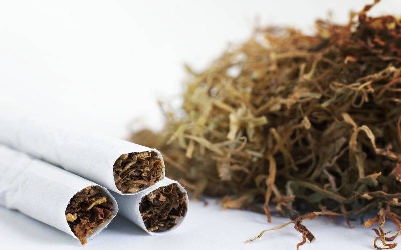 Estudo aponta dados sobre consumo de tabaco entre estudantes