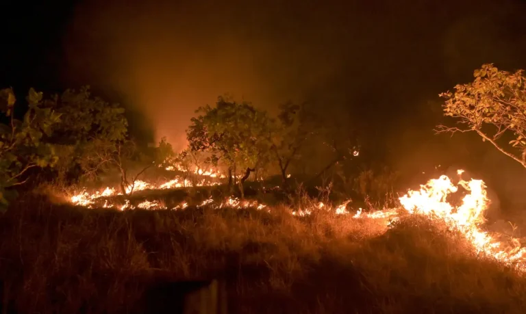 Seca faz incêndios em florestas maduras crescer 152% na Amazônia