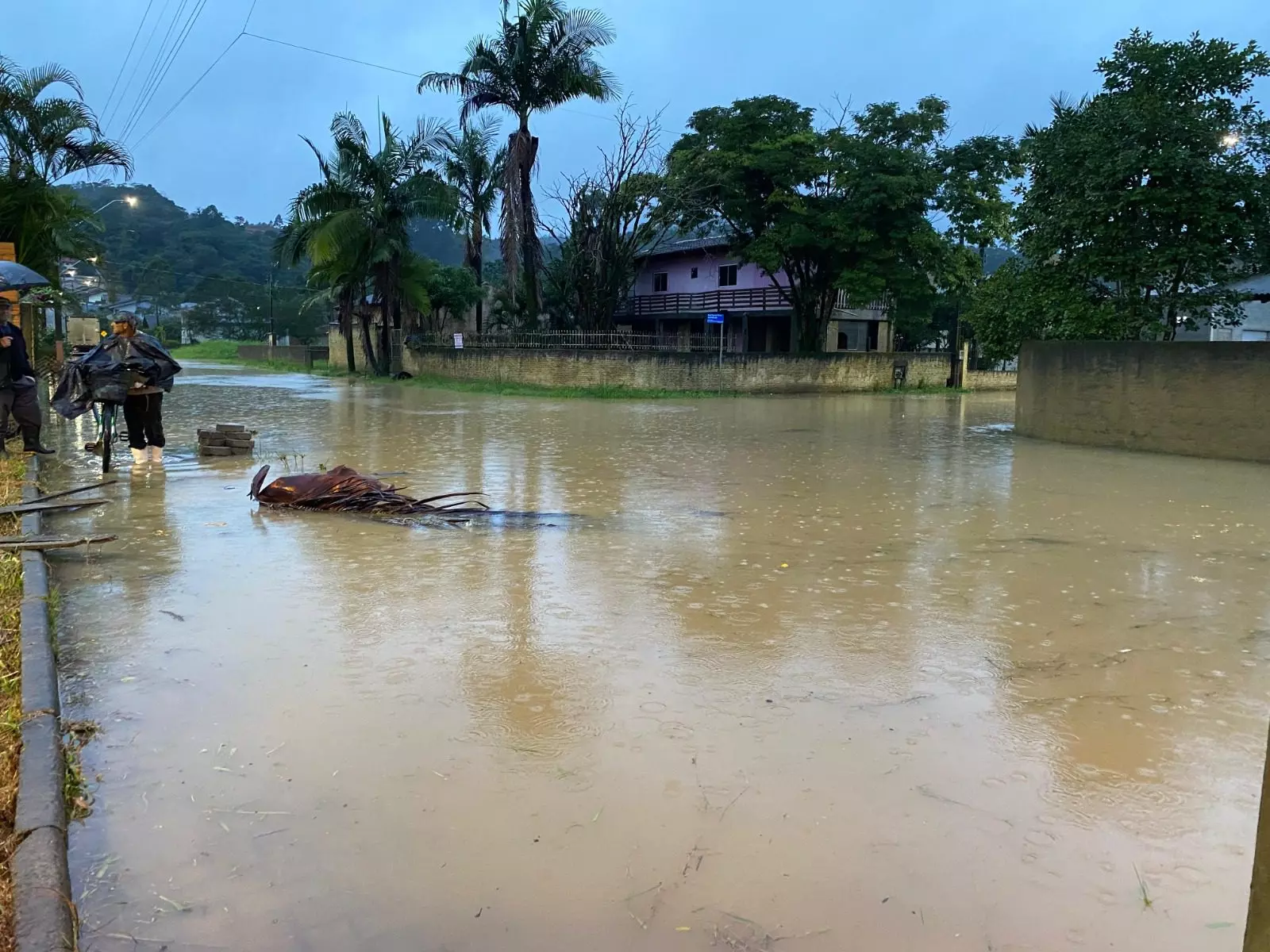 Chuva Intensa Causa Enchentes e Deixa Moradores Ilhados em Rio do Sul (SC); Rio Itajaí-Açu Ultrapassa 7 Metros
