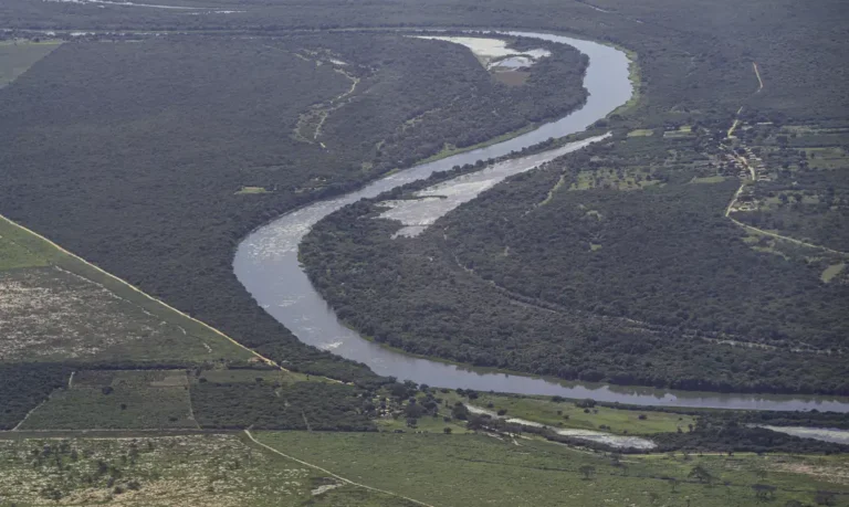 Brasil detém só 18% de patentes sobre flora endêmica da Mata Atlântica