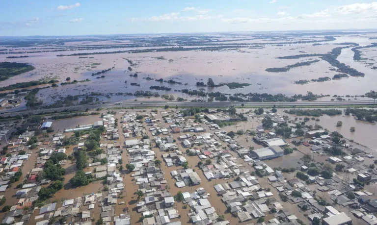 Hoje é Dia: Meio ambiente e oceanos marcam as celebrações da semana