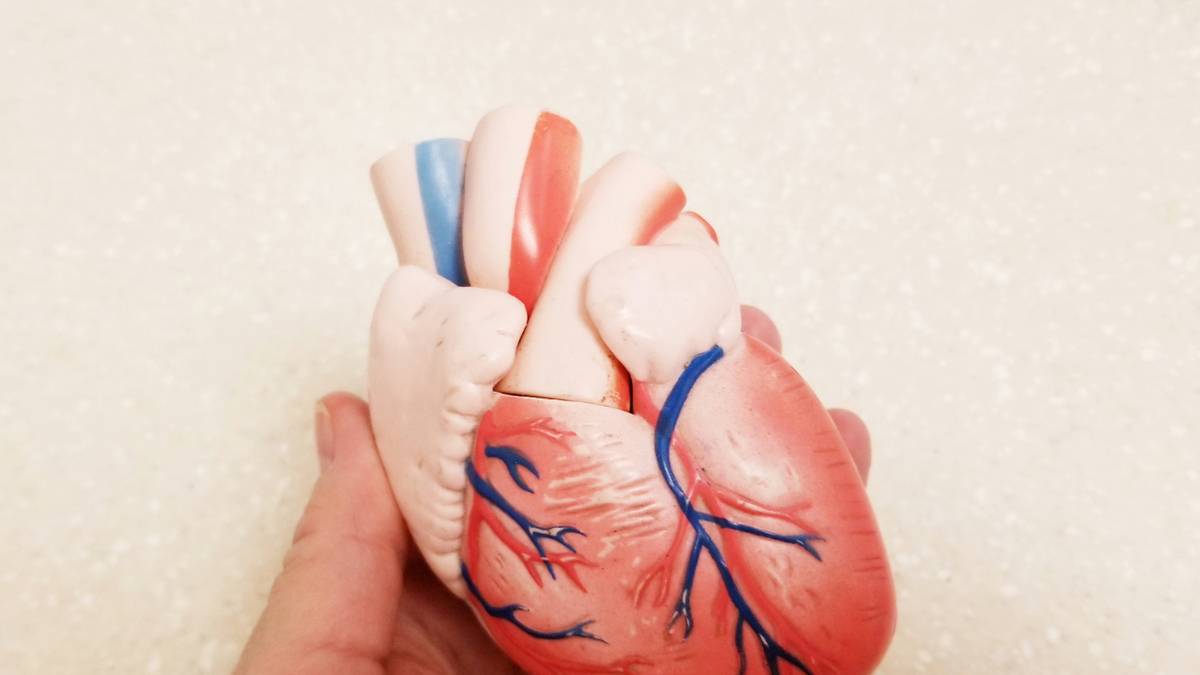Cateterismo cardíaco esquerdo aprimora diagnósticos