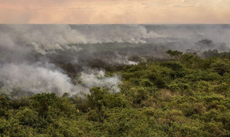 Pantanal poderá ter crise hídrica histórica em 2024, aponta estudo